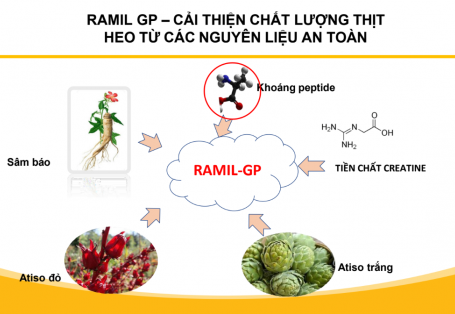 CƠ CHẾ ĐẶC BIỆT RAMIL GP - GIẢI PHÁP TOÀN DIỆN CHO HEO THỊT